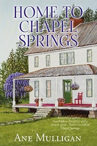 HOME TO CHAPEL SPRINGS cover